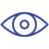 Eye Icon